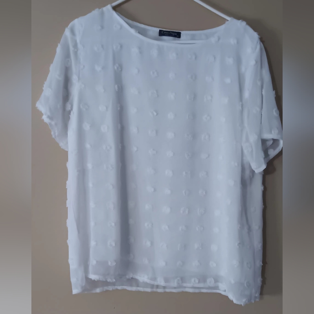 Chifon Womans White Puff Short Sleeve Blouse, EUC, P2P Approx 20", 2XL